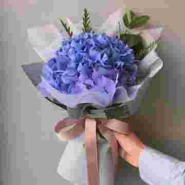 Гортензия "Blue" в Краснодаре