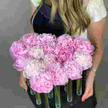 Woodbox Peony Heart в Краснодаре