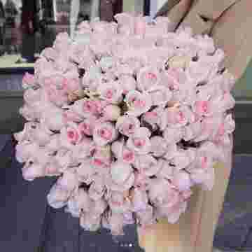 Pink boom в Краснодаре