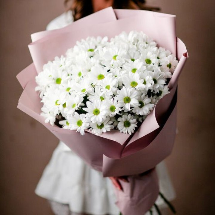 Букет хризантем №2 в Краснодаре