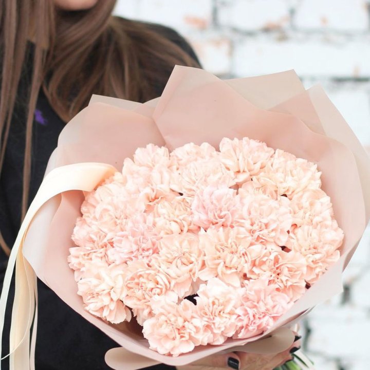 Диантусы №2 в Краснодаре