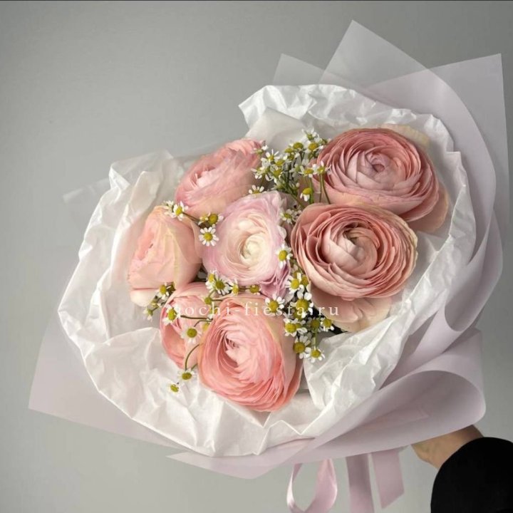 Ранункулюсы с ромашками в Краснодаре