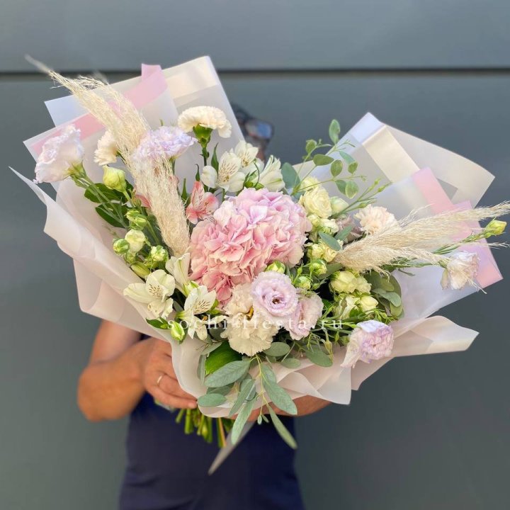 Гортензия "Pink Floyd" в Краснодаре