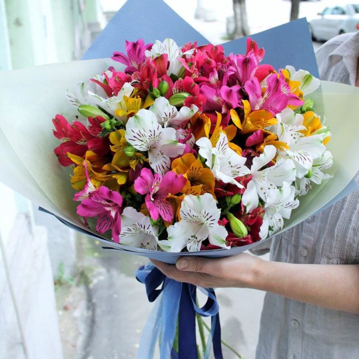 Rainbow M в Краснодаре