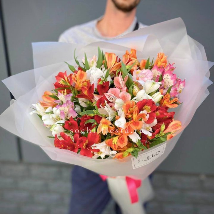 Rainbow XL в Краснодаре