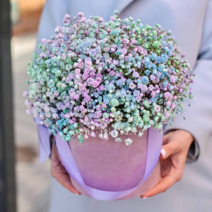 Гипсофилы в шляпной коробке "Candyland" в Краснодаре