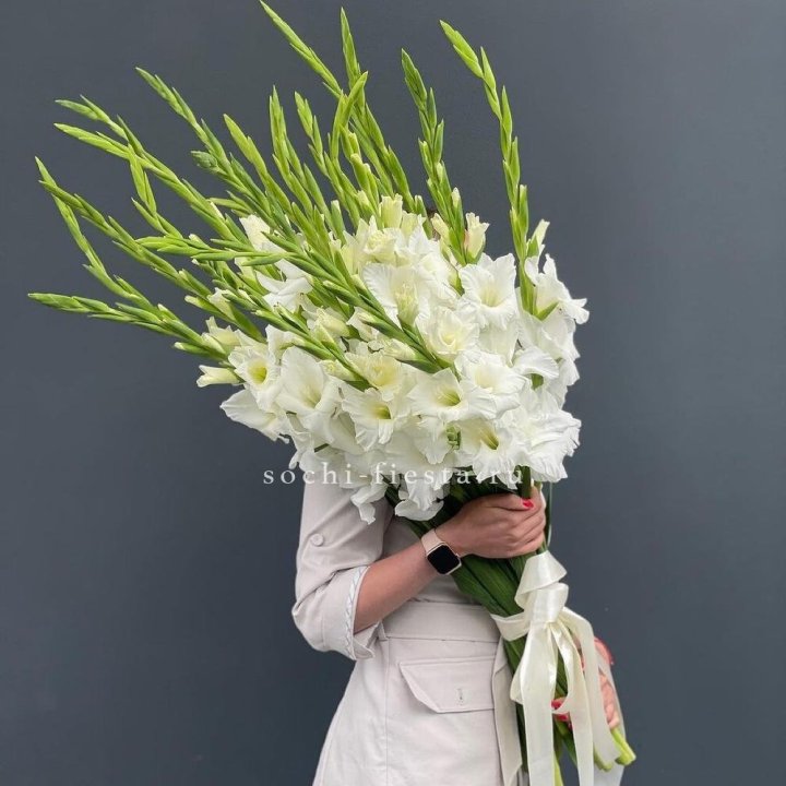 19 белых гладиолусов под ленту в Краснодаре