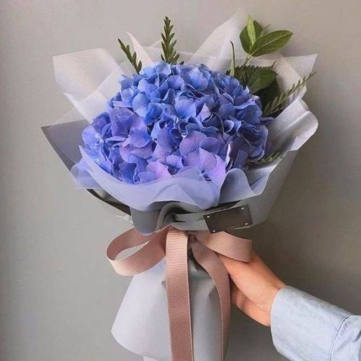 Гортензия "Blue" в Краснодаре