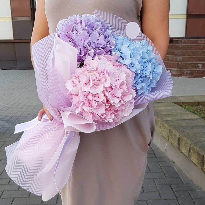 Букет гортензий "Puff" в Краснодаре