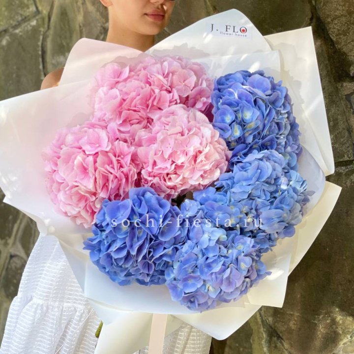 Букет гортензий "Wow" №1 в Краснодаре