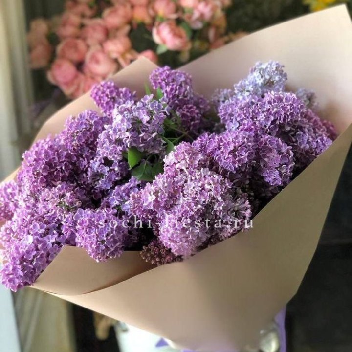 Букет сирени №2 в Краснодаре