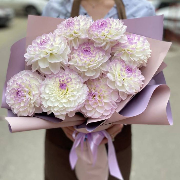 9 бело-фиолетовых георгин в Краснодаре
