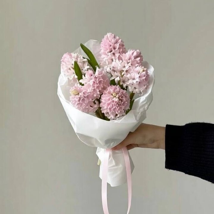7 розовых гиацинтов в Краснодаре