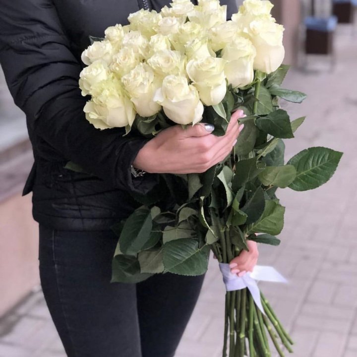 Голландские розы White 21 в Краснодаре