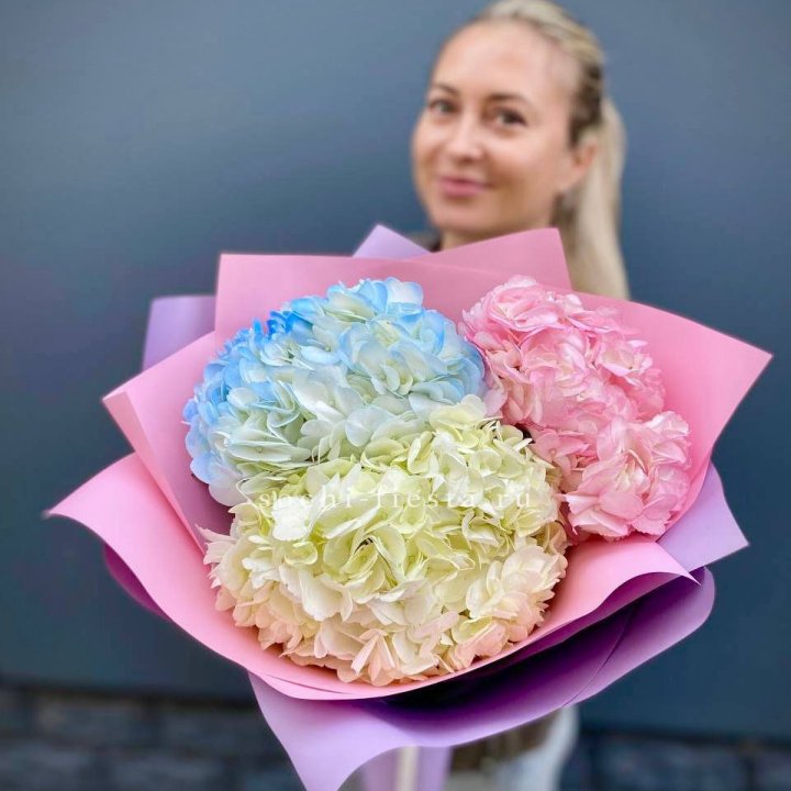 Букет гортензий "TONICA" в Краснодаре