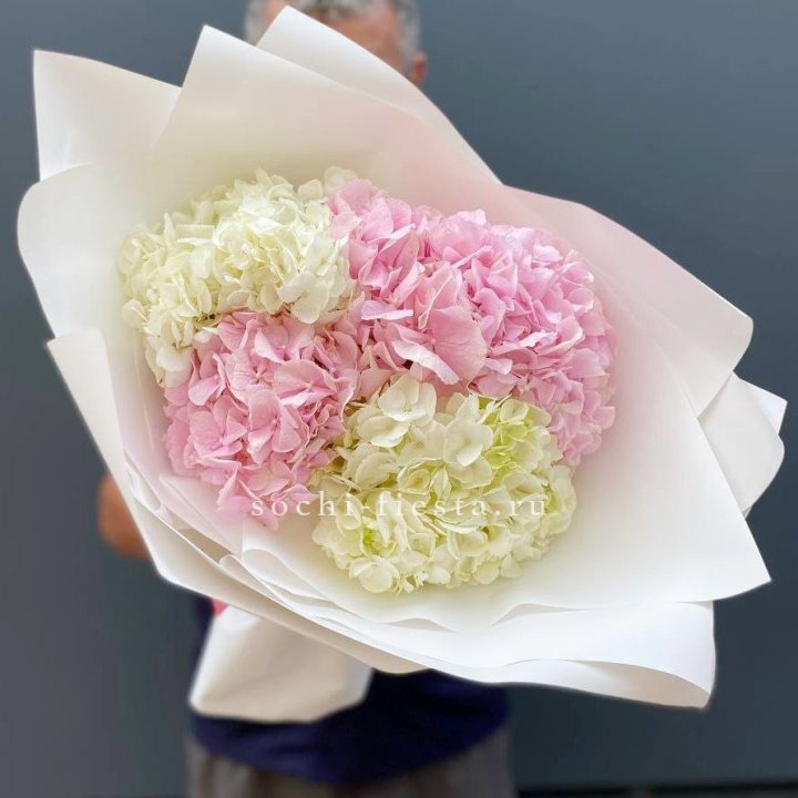 Букет гортензий "Moon" в Краснодаре