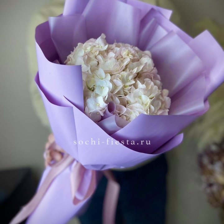 Гортензия UNO Розовая в Краснодаре