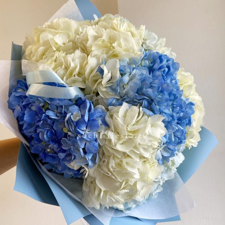 Букет гортензий "Blue clouds" в Краснодаре