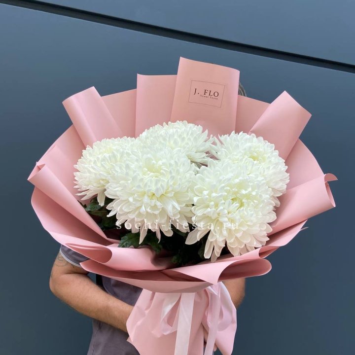 Профитроли №2 в Краснодаре