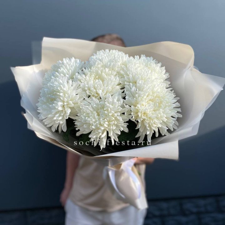 Профитроли в Краснодаре