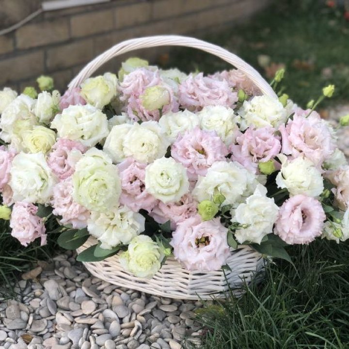 Корзина с эустомой в Краснодаре