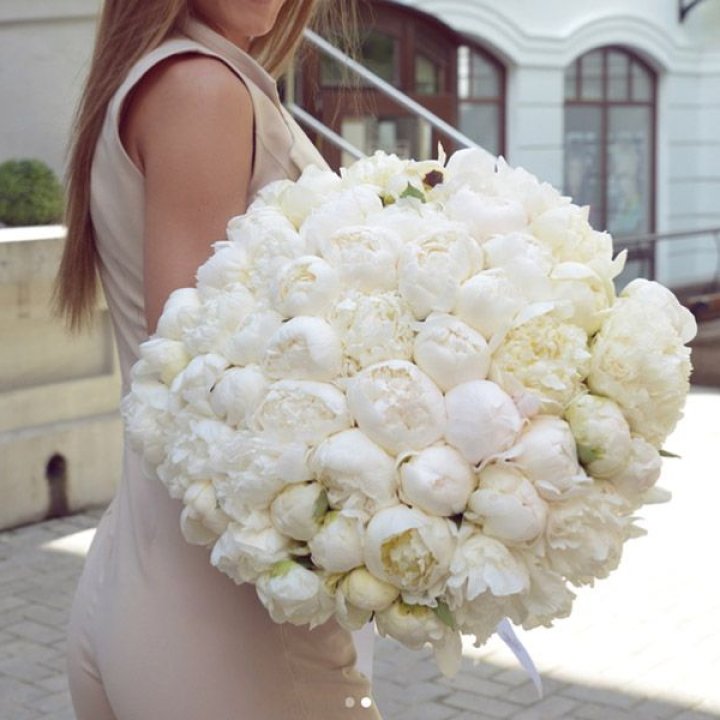 51 белый пион в Краснодаре