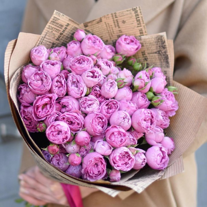 Роза Мисти Баблс в Краснодаре