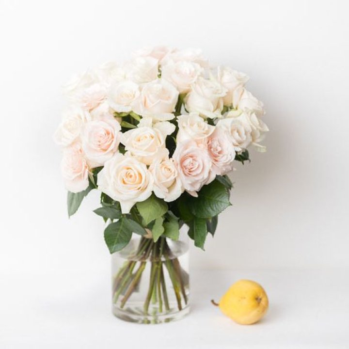 25 кремовых роз в Краснодаре
