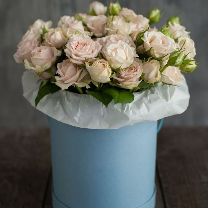 Flowerbox Sky в Краснодаре