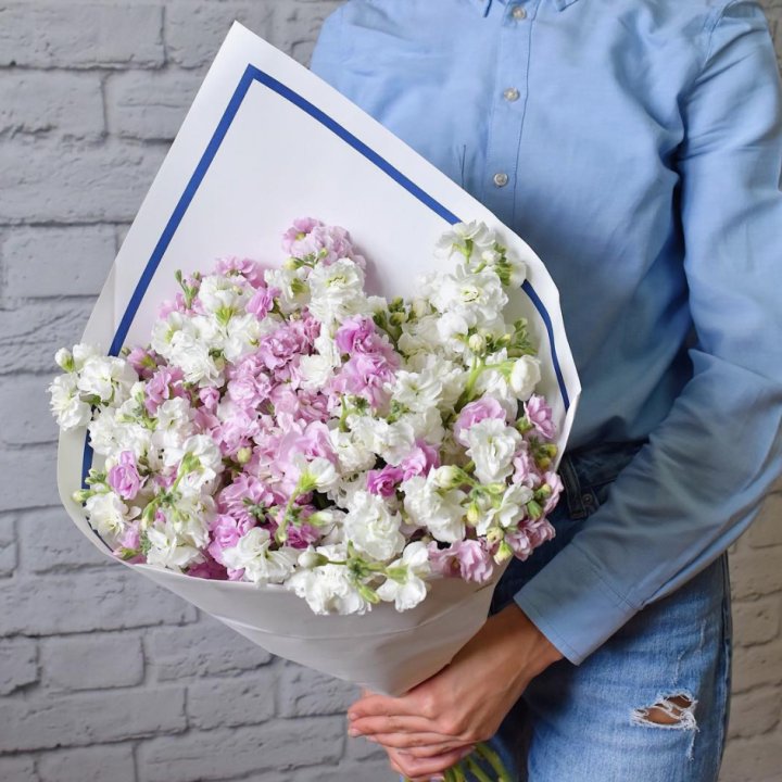 Маттиоли в Краснодаре