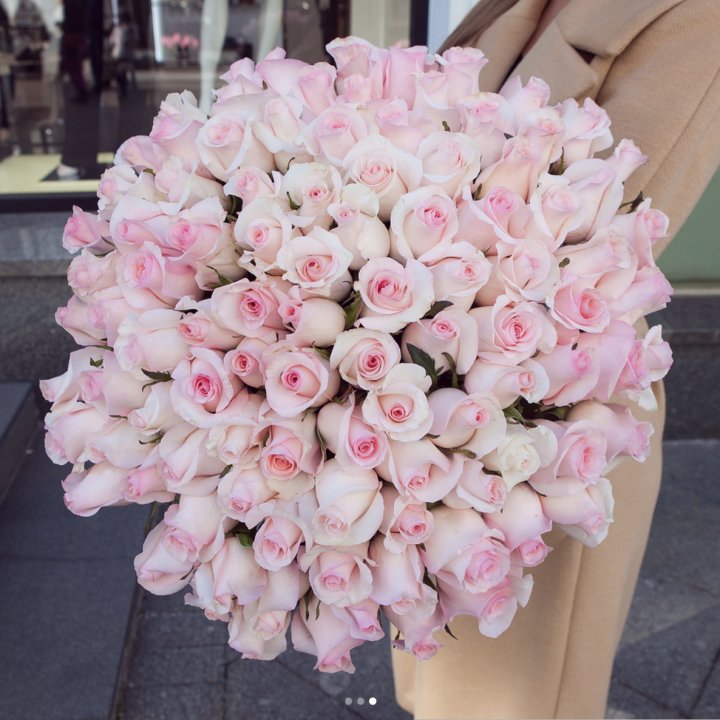 Pink boom в Краснодаре