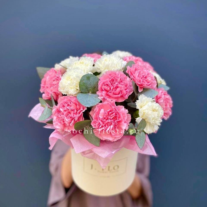 Диантусы в цилиндре в Краснодаре