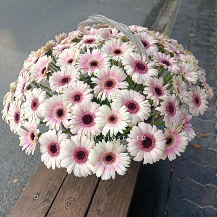 Корзина с герберами XXL в Краснодаре