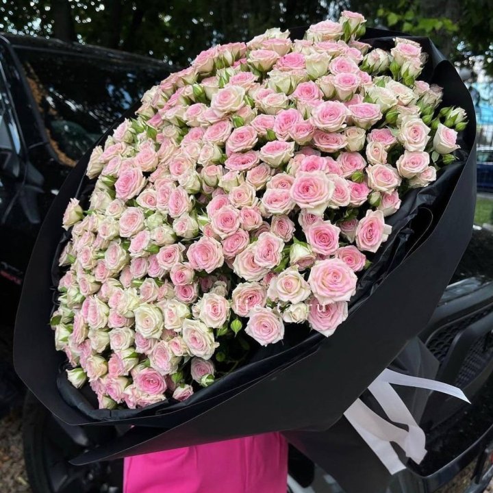 101 кустовая роза Twister в Краснодаре