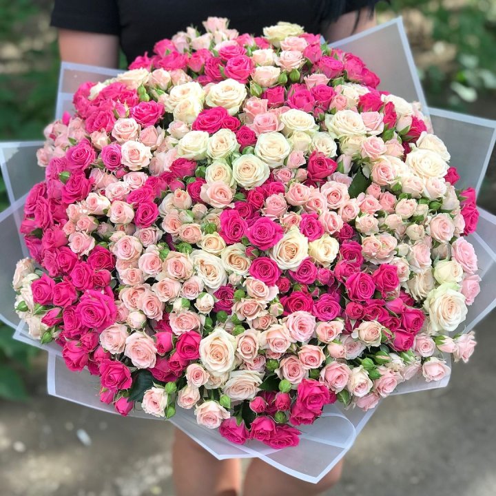 101 кустовая роза в Краснодаре