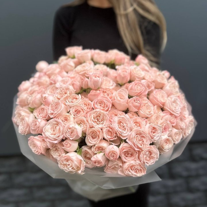 51 кустовая роза Бомбастик в Краснодаре