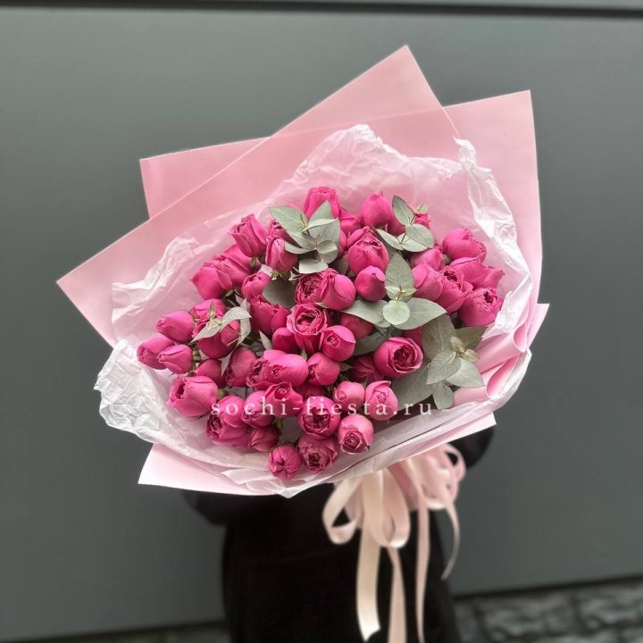 25 Мисти бабблс в Краснодаре