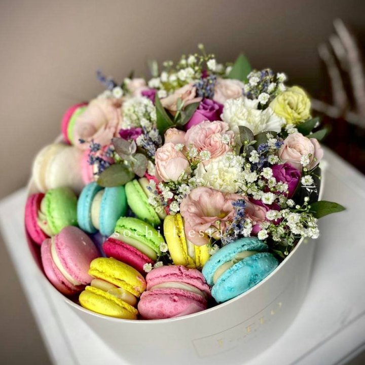 Creambox L в Краснодаре