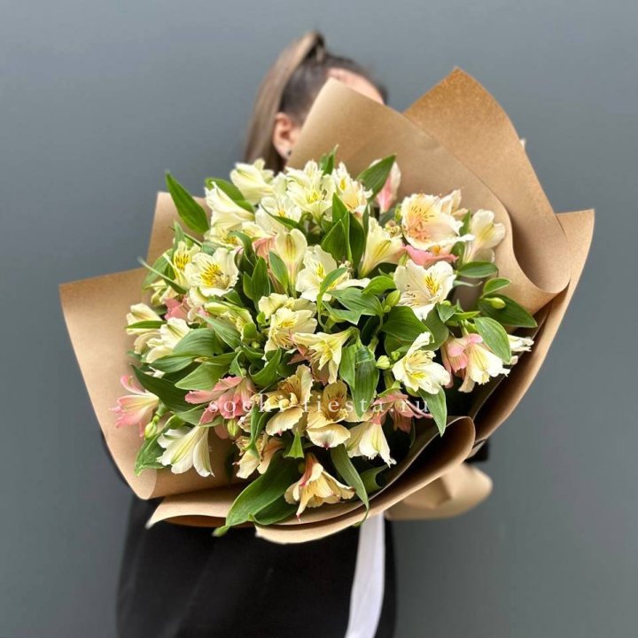 Rainbow L в Краснодаре