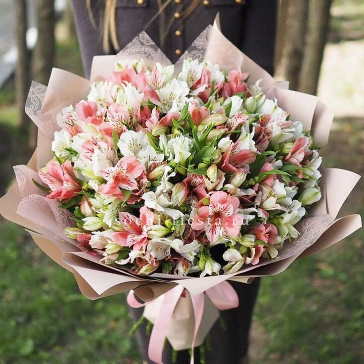 Букет альстромерий Wow в Краснодаре