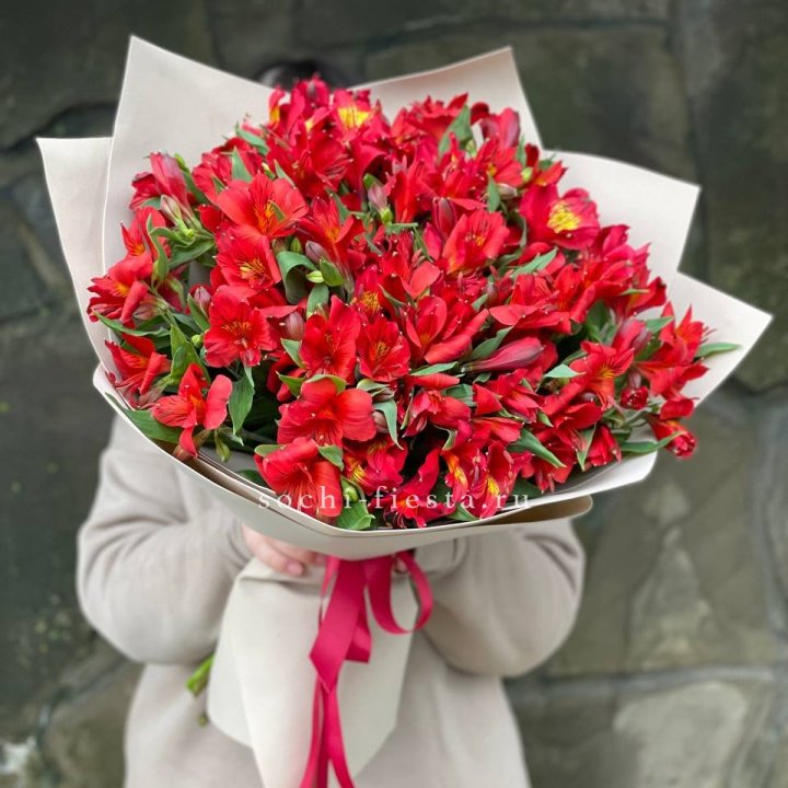51 альстромерия в Краснодаре