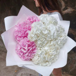 Заказать ГОРТЕНЗИИ в Краснодаре с доставкой и по самым низким ценам