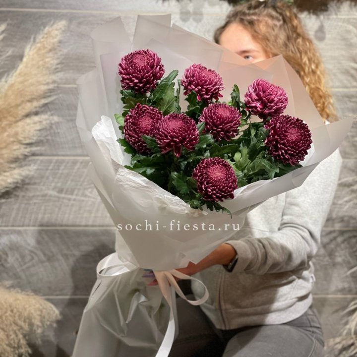 Хризантемы Бигуди в Краснодаре