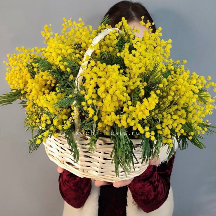 Корзина ароматной мимозы с доставкой в Краснодаре