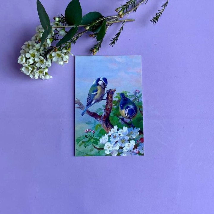 Открытка к букету "Birds" в Краснодаре