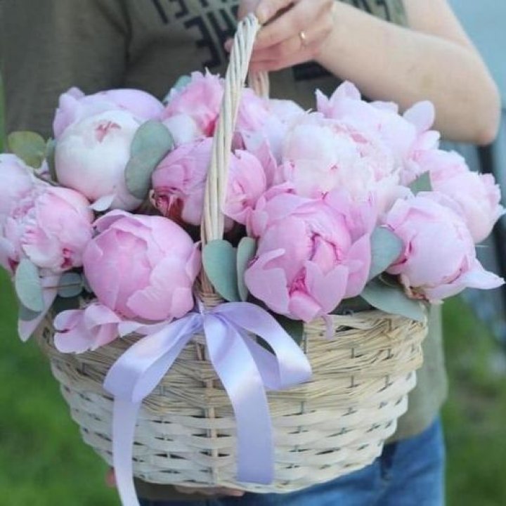 15 пионов в корзине в Краснодаре