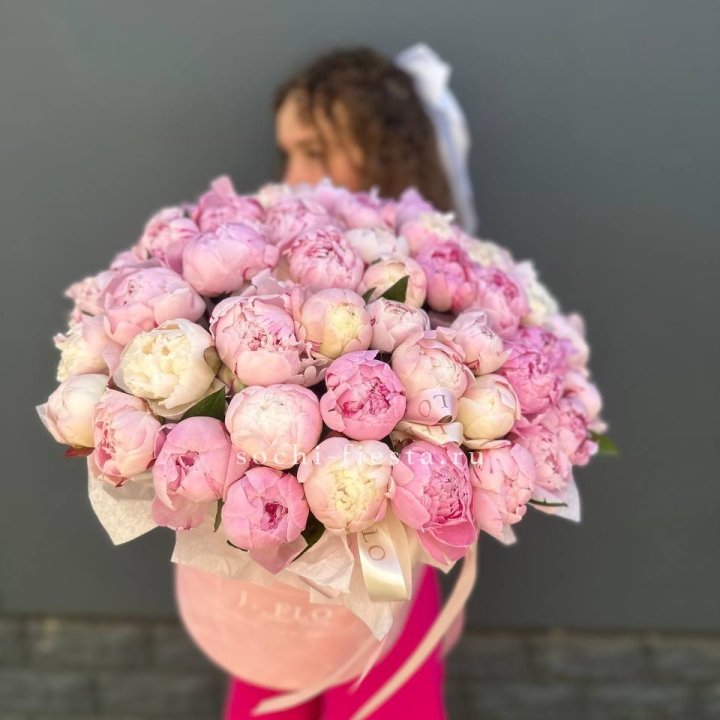 51 нежных пионов  в цилиндре в Краснодаре