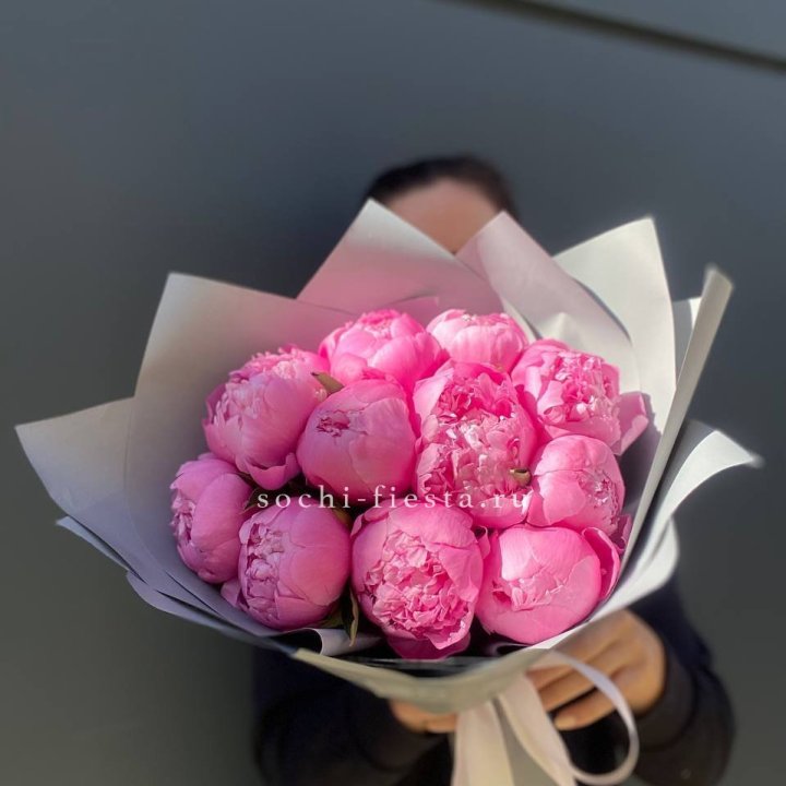 Пионы Alex Fleming в Краснодаре
