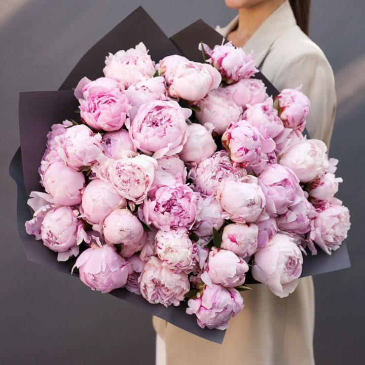 Пионы BLVCK в Краснодаре