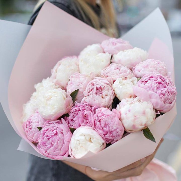 Букет пионов "Buttons" в Краснодаре